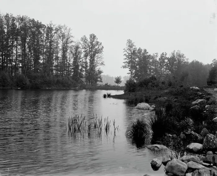 Framed Print : Howell's Lakes, N.J. upper lake, between 1900 and 1906. Creator: Unknown