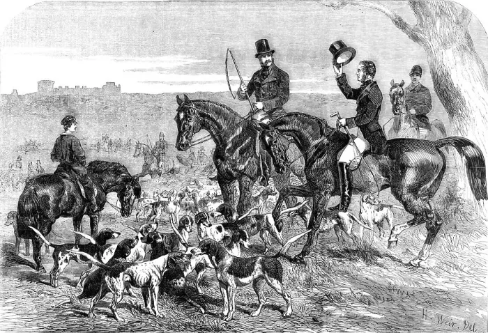 Framed Print : H.R.H. Prince Albert's Harriers, 1856. Creator: Harrison Weir Framed Print : H.R.H. Prince Albert's Harriers, 1856. Creator: Harrison Weir