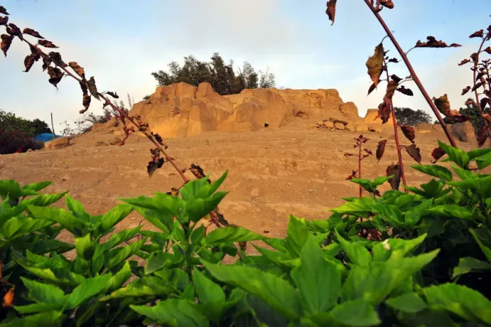 Framed Print : Huaca San Miguel, Parque de las Leyendas, Lima, Peru, 2015. Creator: Luis Rosendo Framed Print : Huaca San Miguel, Parque de las Leyendas, Lima, Peru, 2015. Creator: Luis Rosendo
