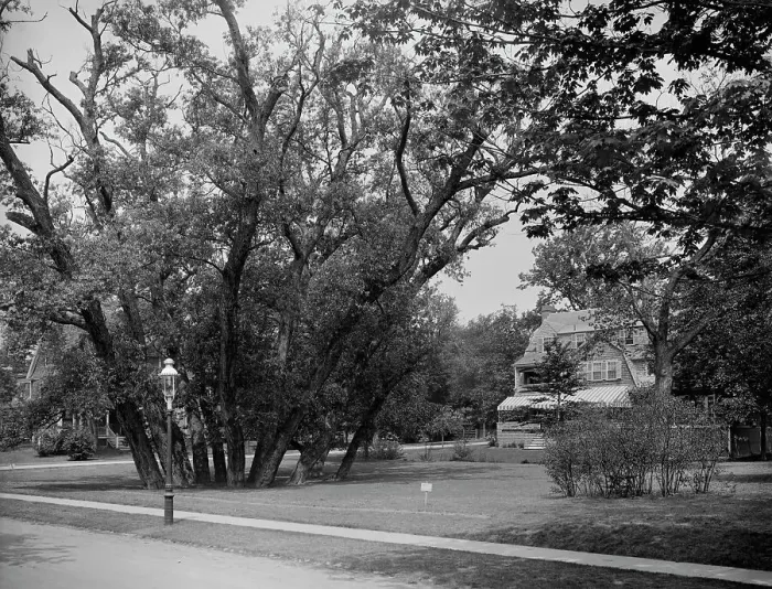 Framed Print : Hubbard Park, Cambridge, Mass. between 1900 and 1920. Creator: Unknown Framed Print : Hubbard Park, Cambridge, Mass. between 1900 and 1920. Creator: Unknown