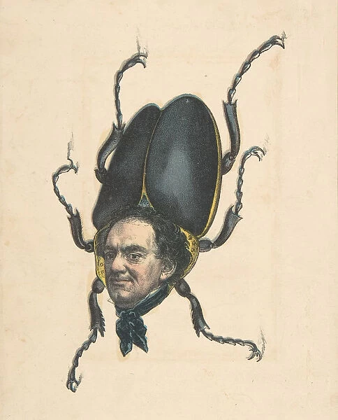 Hum-Bug (P. T. Barnum), from the Comic Natural History of the Human Race, 1851