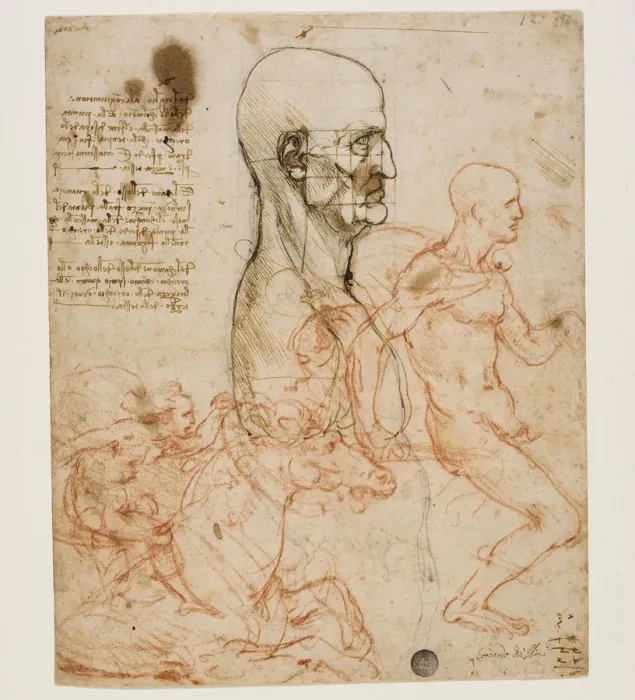 Framed Print : Human bust in profile with study of proportions, c. 1490-1499. Creator: Leonardo da Vinci