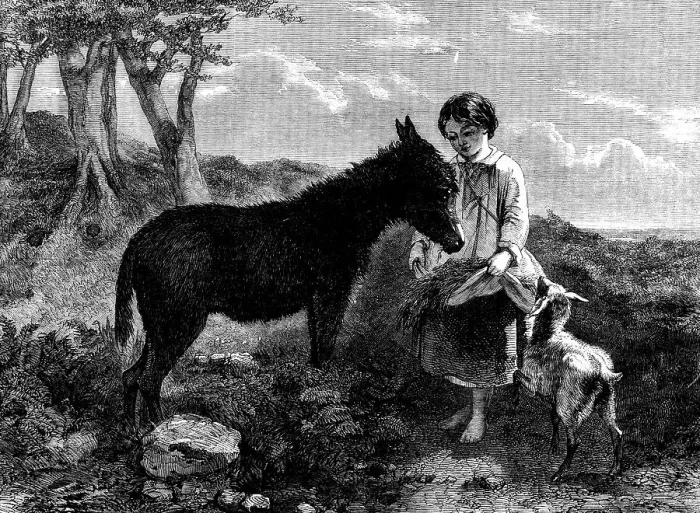 Framed Print : Humble Fare - painted by J. J. Hill, H. Bright, and Earl - from the Flatou Collection, 1858. Creator: Harvey Orrin Smith. Humble Fare - painted by J. J. Hill, H. Bright, and Earl - from the Flatou Collection, 1858 Framed Print : Humble Fare - painted by J. J. Hill, H. Bright, and Earl - from the Flatou Collection, 1858. Creator: Harvey Orrin Smith. Humble Fare - painted by J. J. Hill, H. Bright, and Earl - from the Flatou Collection, 1858