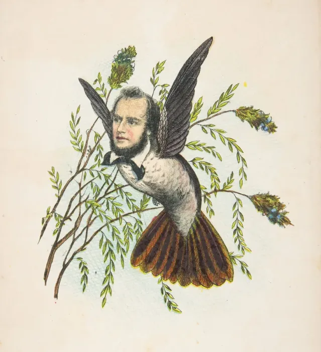 Framed Print : Humming Bird (Thomas B. Florence), from The Comic Natural History of the Human Race, 1851 Framed Print : Humming Bird (Thomas B. Florence), from The Comic Natural History of the Human Race, 1851