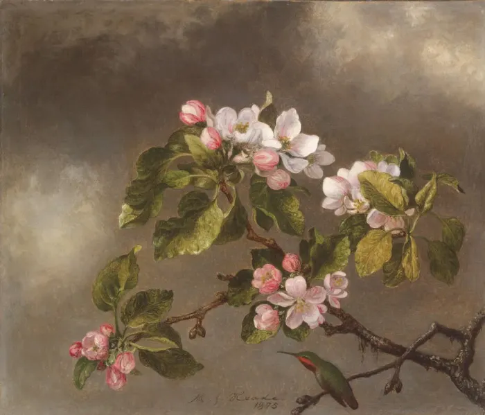 Framed Print : Hummingbird and Apple Blossoms, 1875. Creator: Martin Johnson Heade Framed Print : Hummingbird and Apple Blossoms, 1875. Creator: Martin Johnson Heade