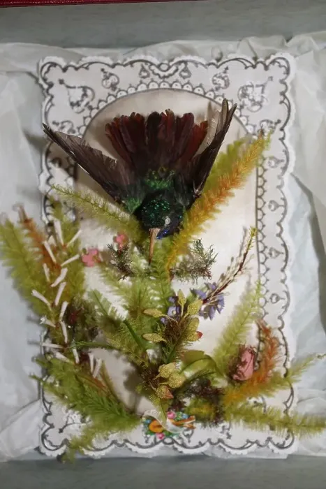 Framed Print : Hummingbird Valentine, 1845 / 1869. Creator: Jonathan King Framed Print : Hummingbird Valentine, 1845 / 1869. Creator: Jonathan King