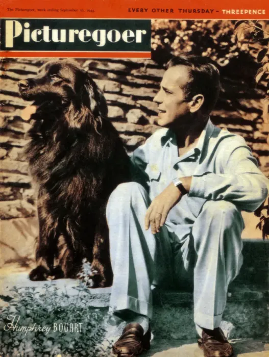 Framed Print : Humphrey Bogart (1899-1957), American actor, 1944 Framed Print : Humphrey Bogart (1899-1957), American actor, 1944