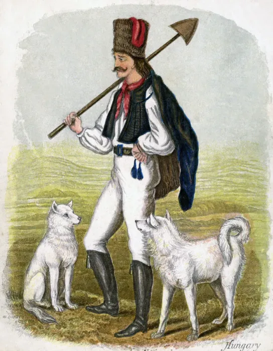 Framed Print : Hungarian Man with Dogs, 1809. Artist: W Dickes Framed Print : Hungarian Man with Dogs, 1809. Artist: W Dickes