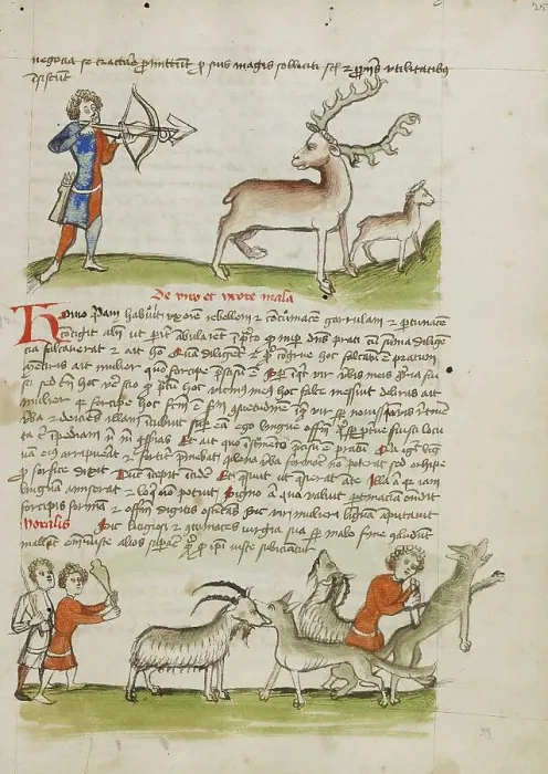 Framed Print : A Hunter Aiming an Arrow at a Stag, a Deer Standing Nearby... third quarter of 15th century. Creator: Unknown Framed Print : A Hunter Aiming an Arrow at a Stag, a Deer Standing Nearby... third quarter of 15th century. Creator: Unknown