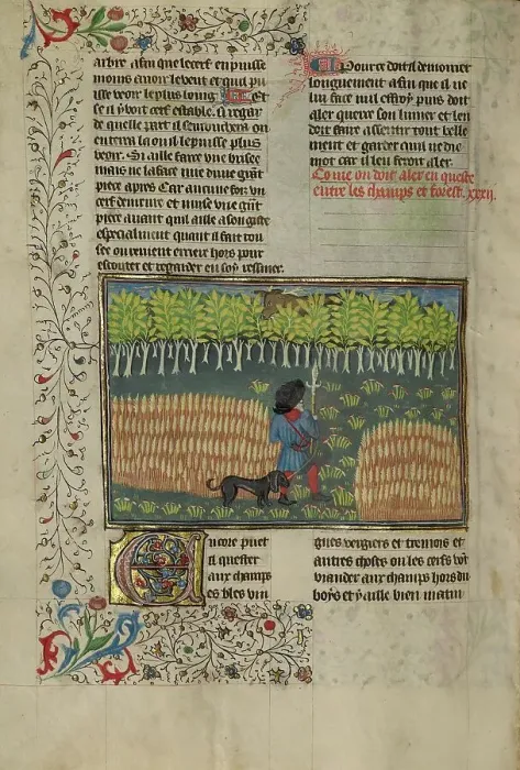 Framed Print : A Hunter and a Dog Tracking between a Field and a Forest; Livre de la Chasse, about 1430-1440. Creator: Unknown