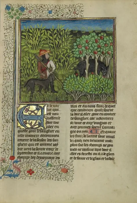 Framed Print : A Hunter and a Dog Tracking a Wild Boar; Livre de la Chasse, about 1430-1440. Creator: Unknown