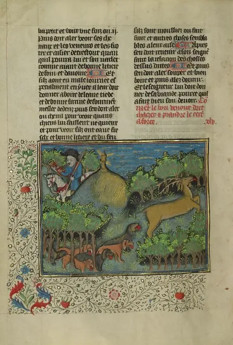 Framed Print : A Hunter and Dogs Pursuing a Stag; Livre de la Chasse, about 1430-1440. Creator: Unknown Framed Print : A Hunter and Dogs Pursuing a Stag; Livre de la Chasse, about 1430-1440. Creator: Unknown