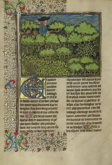 Framed Print : A Hunter and Dogs Pursuing a Wild Boar; Livre de la Chasse, about 1430-1440. Creator: Unknown Framed Print : A Hunter and Dogs Pursuing a Wild Boar; Livre de la Chasse, about 1430-1440. Creator: Unknown