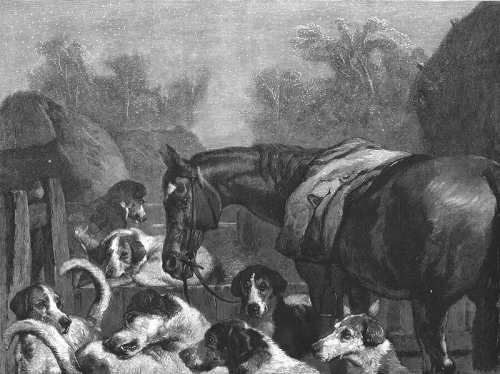 Framed Print : Hunter and Hounds after Sir Edwin Landseer, R.A. Creator: Unknown. Hunter and Hounds after Sir Edwin Landseer, R.A. Creator: Unknown Framed Print : Hunter and Hounds after Sir Edwin Landseer, R.A. Creator: Unknown. Hunter and Hounds after Sir Edwin Landseer, R.A. Creator: Unknown