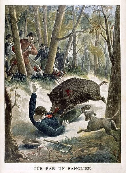 A hunter killed by a wild boar, 1901