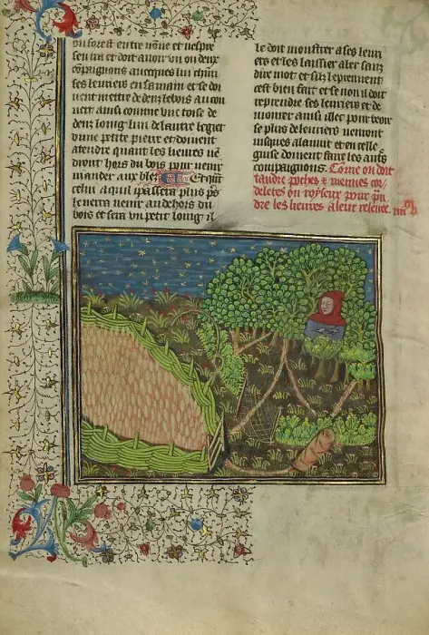 Framed Print : A Hunter and Snares Used to Trap Hares; Livre de la Chasse, about 1430-1440. Creator: Unknown Framed Print : A Hunter and Snares Used to Trap Hares; Livre de la Chasse, about 1430-1440. Creator: Unknown