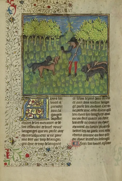 Framed Print : A Hunter Training Dogs to Respond to the Call of the Horn; Livre de la Chasse, about 1430-1440. Creator: Unknown Framed Print : A Hunter Training Dogs to Respond to the Call of the Horn; Livre de la Chasse, about 1430-1440. Creator: Unknown