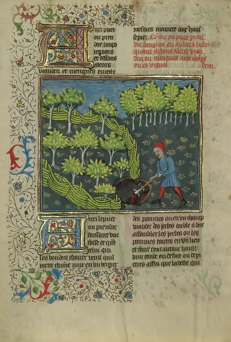 Framed Print : A Hunter Wounding a Wild Boar Caught in a Pit; Livre de la Chasse, about 1430-1440. Creator: Unknown Framed Print : A Hunter Wounding a Wild Boar Caught in a Pit; Livre de la Chasse, about 1430-1440. Creator: Unknown