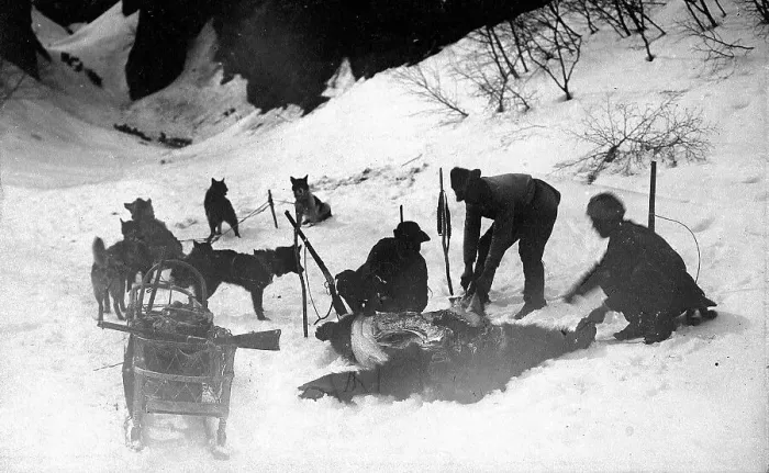 Framed Print : Hunters with a dead bear, 1910-1929. Creator: Ivan Emelianovich Larin Framed Print : Hunters with a dead bear, 1910-1929. Creator: Ivan Emelianovich Larin