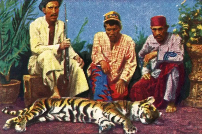 Framed Print : Hunters with dead tiger in Sumatra, c1928. Creator: Unknown