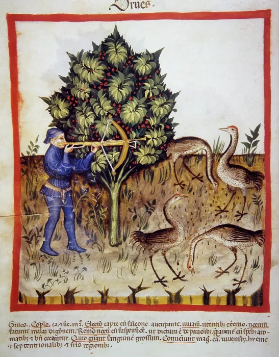 Framed Print : Hunting, 14th century. Creator: Unknown Framed Print : Hunting, 14th century. Creator: Unknown