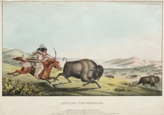 Framed Print : Hunting the Buffalo, 1837. Creator: E. C. Biddle (American); John T. Bowen (British, c Framed Print : Hunting the Buffalo, 1837. Creator: E. C. Biddle (American); John T. Bowen (British, c