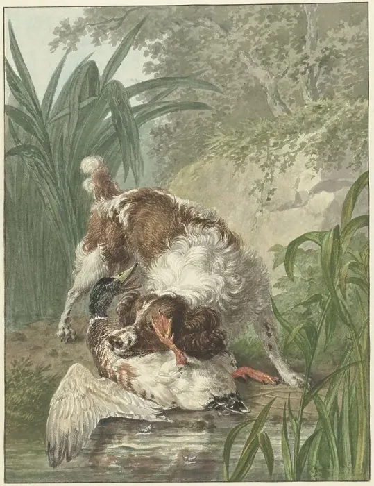 Framed Print : Hunting dog catches a duck, 1754-1831. Creator: Wybrand Hendriks Framed Print : Hunting dog catches a duck, 1754-1831. Creator: Wybrand Hendriks