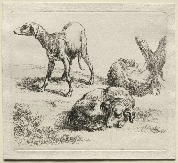 Framed Print : Three Hunting Dogs. Creator: Nicolaes Berchem (Dutch, 1620-1683) Framed Print : Three Hunting Dogs. Creator: Nicolaes Berchem (Dutch, 1620-1683)