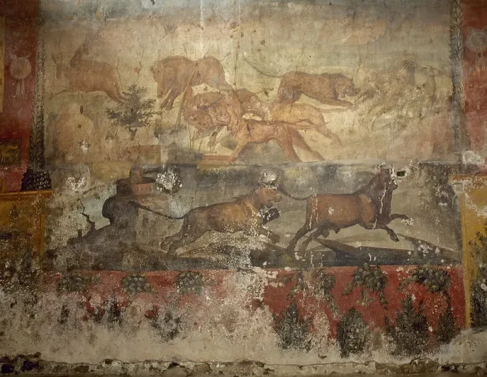 Framed Print : Hunting scene, House of Lucio Ceio Secondo, Pompeii, Italy, 1st century AD. Creator: Unknown Framed Print : Hunting scene, House of Lucio Ceio Secondo, Pompeii, Italy, 1st century AD. Creator: Unknown