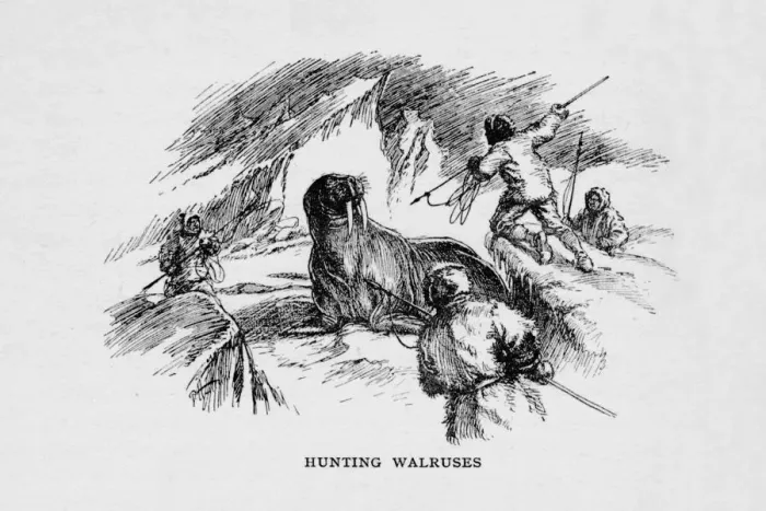 Framed Print : Hunting Walruses, c1927, (1928) Framed Print : Hunting Walruses, c1927, (1928)