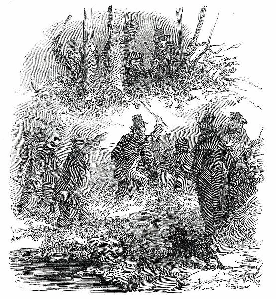 Hunting the Wren at Christmas, 1850. Creator: Unknown