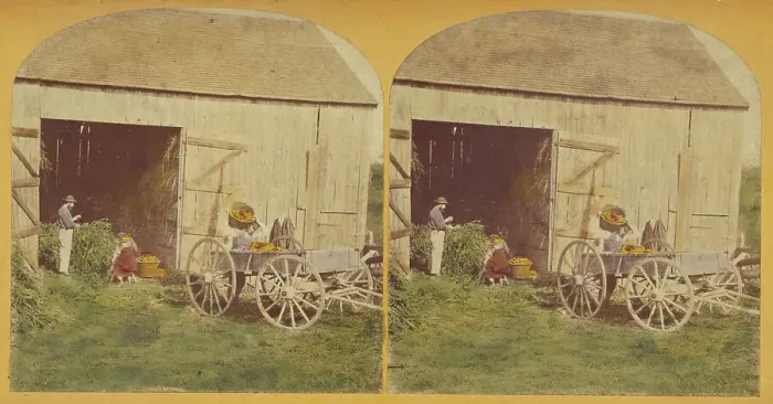 Framed Print : Husking Scene. about 1870-1880. Creator: Unknown Framed Print : Husking Scene. about 1870-1880. Creator: Unknown