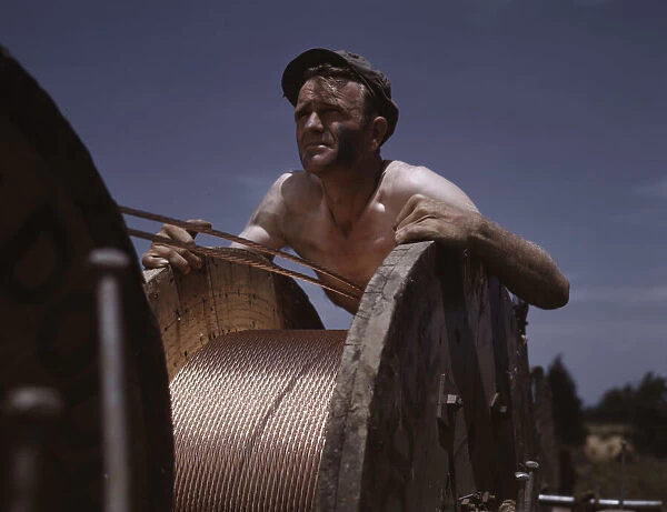 This husky member of a construction crew building a new 33, 000-volt electric... Ft. Knox, Ky. 1942 Creator: Alfred T Palmer