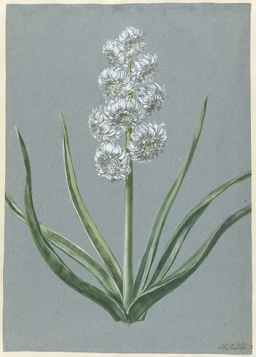 Framed Print : Hyacinth Margrave Charles of Baden Durlach, 1720-1729. Creator: Hendrik Budde Framed Print : Hyacinth Margrave Charles of Baden Durlach, 1720-1729. Creator: Hendrik Budde