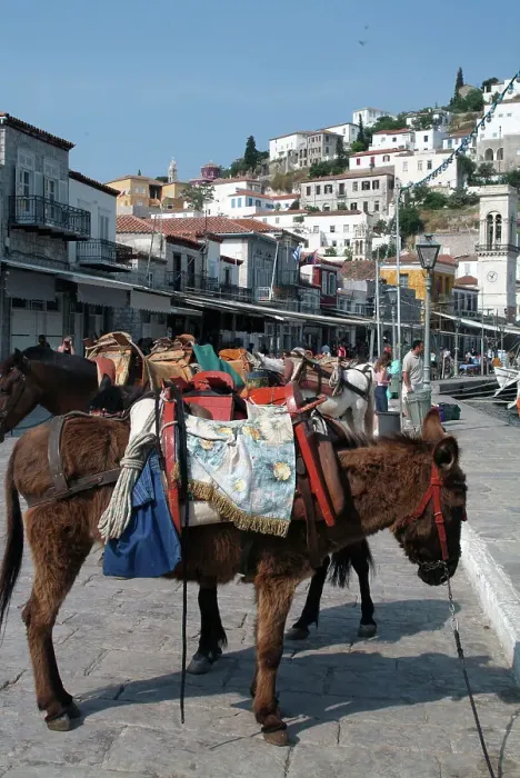 Framed Print : Hydra, Greece, 2003. Creator: Ethel Davies Framed Print : Hydra, Greece, 2003. Creator: Ethel Davies