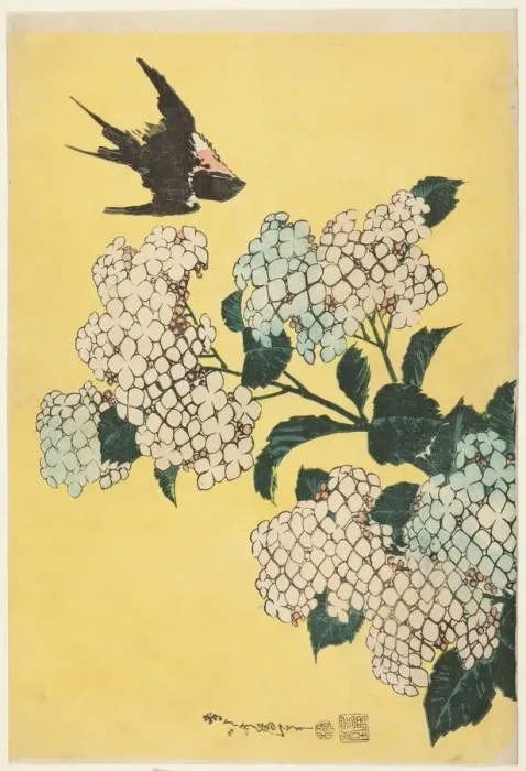 Framed Print : Hydrangea and Swallow, from an untitled series of large flowers, Japan, c. 1833 / 34 Framed Print : Hydrangea and Swallow, from an untitled series of large flowers, Japan, c. 1833 / 34