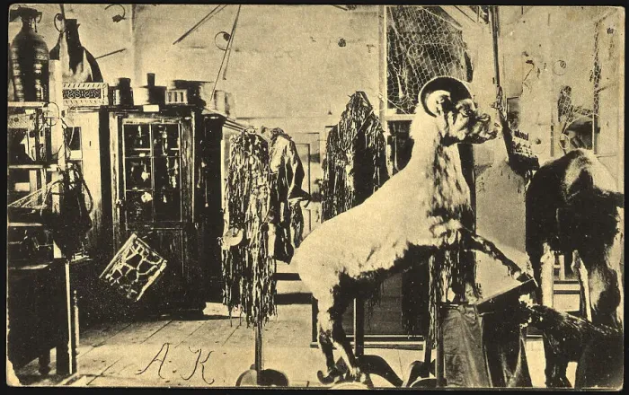 Framed Print : Iakutsk: Museum, 1904-1917. Creator: Unknown Framed Print : Iakutsk: Museum, 1904-1917. Creator: Unknown