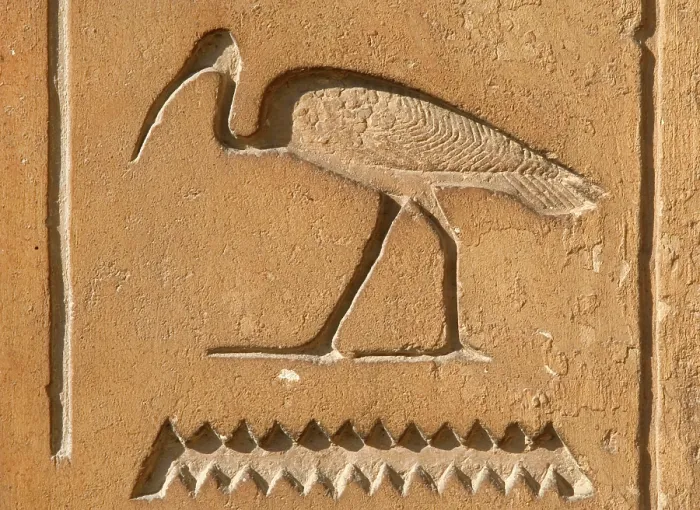 Framed Print : Ibis Hieroglyph, Mastaba of Kagemni, Saqqara, Egypt, Old Kingdom, 6th Dynasty, 2350 BC (2003). Creator: Unknown Framed Print : Ibis Hieroglyph, Mastaba of Kagemni, Saqqara, Egypt, Old Kingdom, 6th Dynasty, 2350 BC (2003). Creator: Unknown