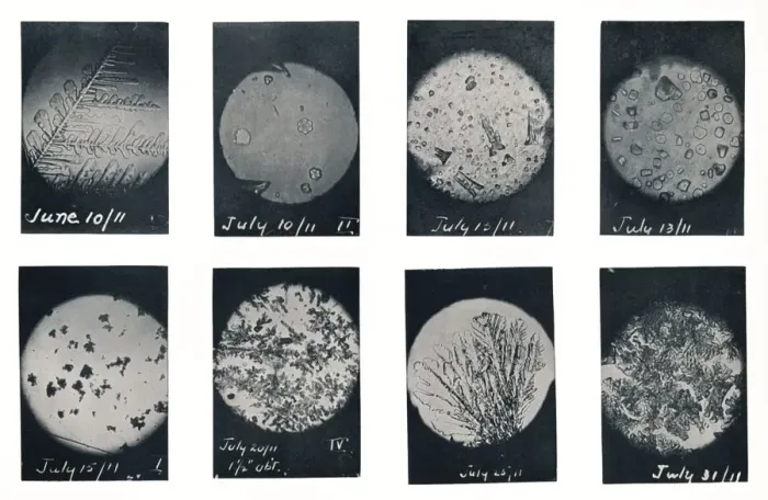Framed Print : Ice Crystals in Crevasse, June-July 1911, (1913). Artist: Charless Wright Framed Print : Ice Crystals in Crevasse, June-July 1911, (1913). Artist: Charless Wright
