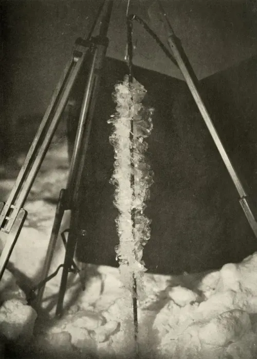 Framed Print : Ice Crystals Formed on the Line of a Fish Trap, c1908, (1909) Framed Print : Ice Crystals Formed on the Line of a Fish Trap, c1908, (1909)