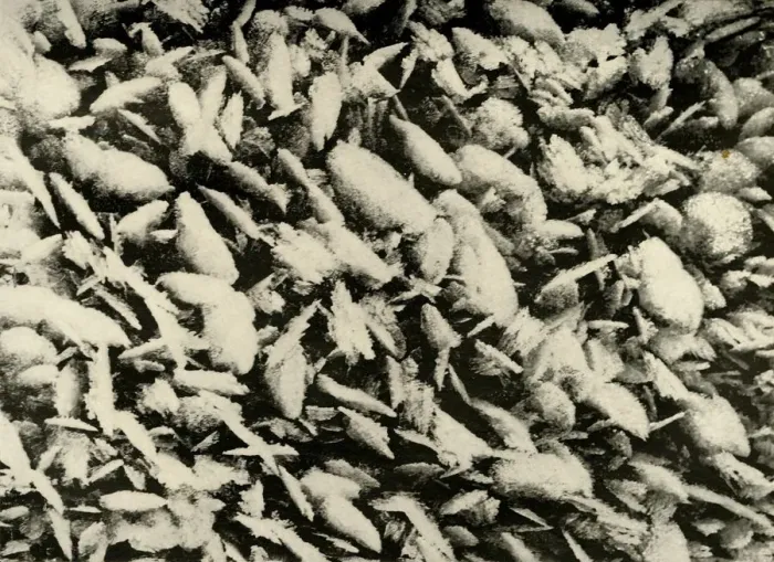 Framed Print : Ice Crystals on roof of the Hut Porch, c1908, (1909) Framed Print : Ice Crystals on roof of the Hut Porch, c1908, (1909)