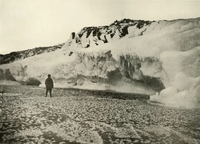 Framed Print : Ice Flowers on Newly Formed Sea Ice Early in the Winter, c1908, (1909) Framed Print : Ice Flowers on Newly Formed Sea Ice Early in the Winter, c1908, (1909)