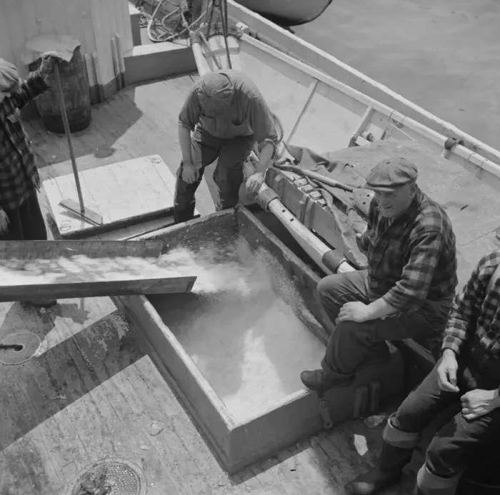 Framed Print : Icing the hold of a ship at the Fulton fish market, New York, 1943. Creator: Gordon Parks Framed Print : Icing the hold of a ship at the Fulton fish market, New York, 1943. Creator: Gordon Parks