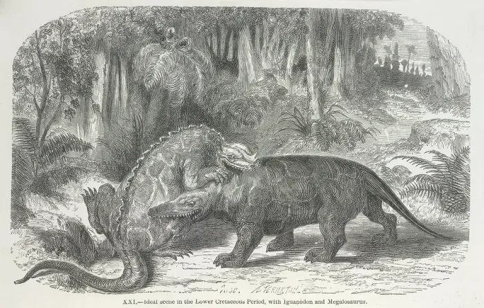 Framed Print : Ideal scene in the Lower Cretaceous period, with Iguanodon and Megalosaurus, 1865. Creator: Unknown. Ideal scene in the Lower Cretaceous period, with Iguanodon and Megalosaurus, 1865. Creator: Unknown Framed Print : Ideal scene in the Lower Cretaceous period, with Iguanodon and Megalosaurus, 1865. Creator: Unknown. Ideal scene in the Lower Cretaceous period, with Iguanodon and Megalosaurus, 1865. Creator: Unknown