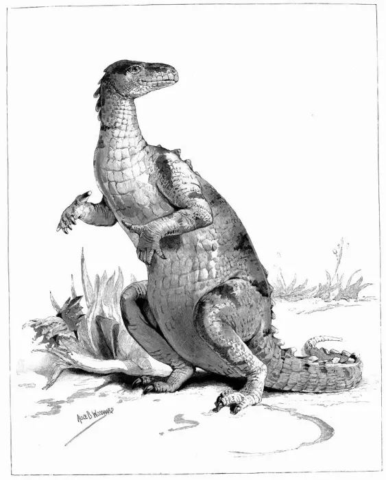 Framed Print : Iguanodon, 1895 Framed Print : Iguanodon, 1895