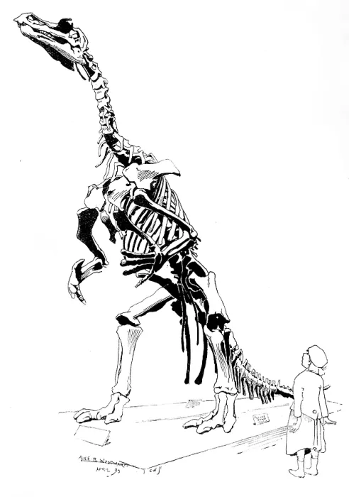 Framed Print : The Iguanodon, 1895. Creator: Carl Hentschel Framed Print : The Iguanodon, 1895. Creator: Carl Hentschel