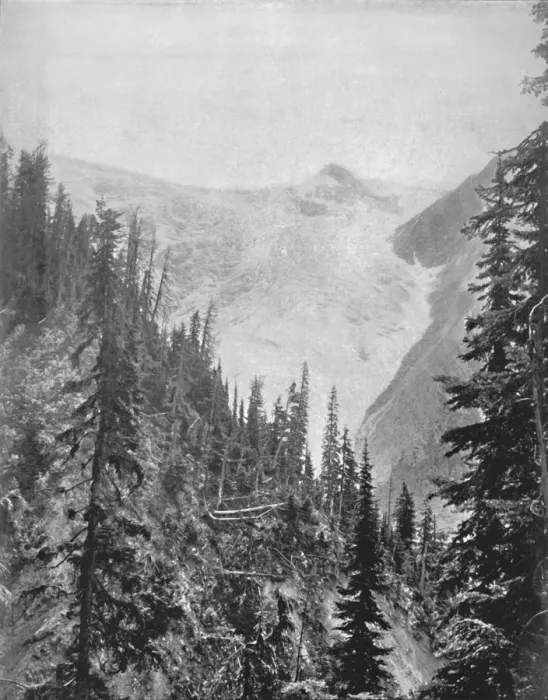 Framed Print : The Illicilliwaet Glacier, 19th century Framed Print : The Illicilliwaet Glacier, 19th century