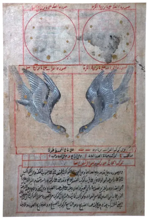 Framed Print : Illustration of the Constellations of the Southern Hemisphere, 16th century Framed Print : Illustration of the Constellations of the Southern Hemisphere, 16th century