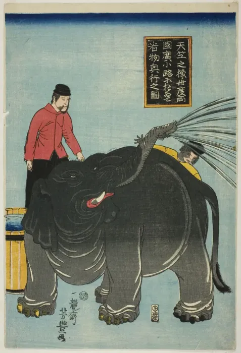 Framed Print : Illustration of Elephant from India On Display at Hirokoji in Ryogoku (Tenjiku no zo kotabi... 1863. Creator: Utagawa Yoshitoyo) Framed Print : Illustration of Elephant from India On Display at Hirokoji in Ryogoku (Tenjiku no zo kotabi... 1863. Creator: Utagawa Yoshitoyo)