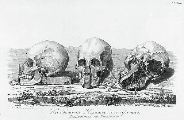 Illustration of Nukagiva Skulls, 1813. Creator: Unknown